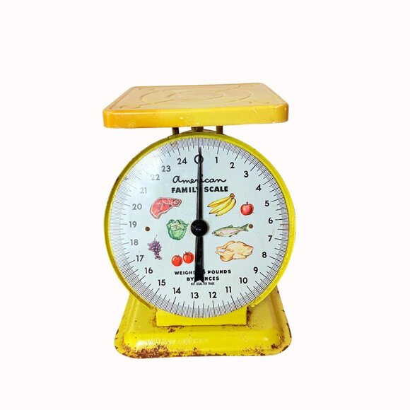 VTG American Family Kitchen Scale Retro Farmhouse Decor Rustic Charm Functional - Picture 2 of 16